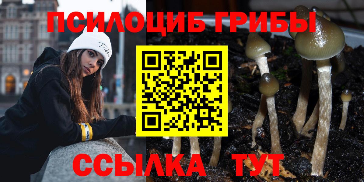 Галлюциногенные грибы мицелий Ишимбай