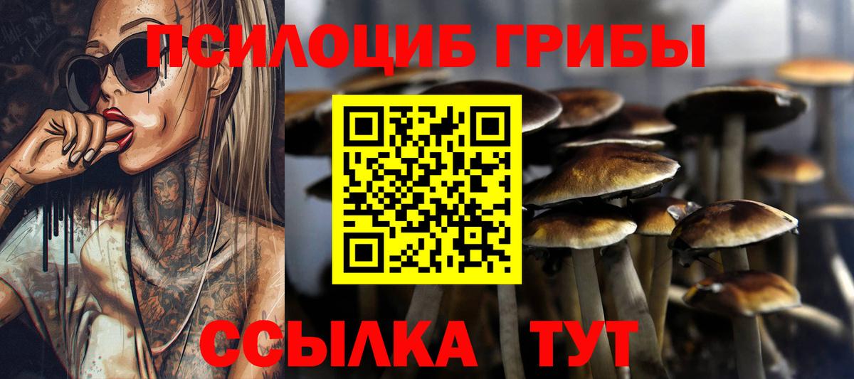 Галлюциногенные грибы GOLDEN TEACHER  Вход с VPN  Ишимбай 